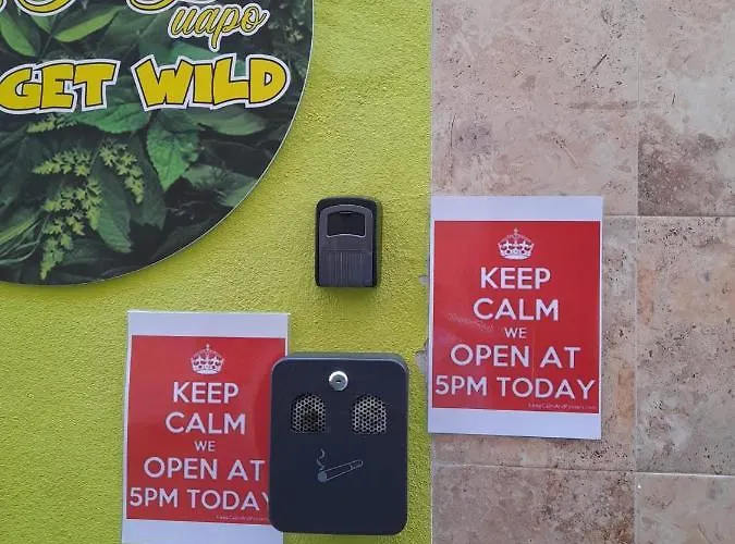 아파트 Center Centro 베니돔